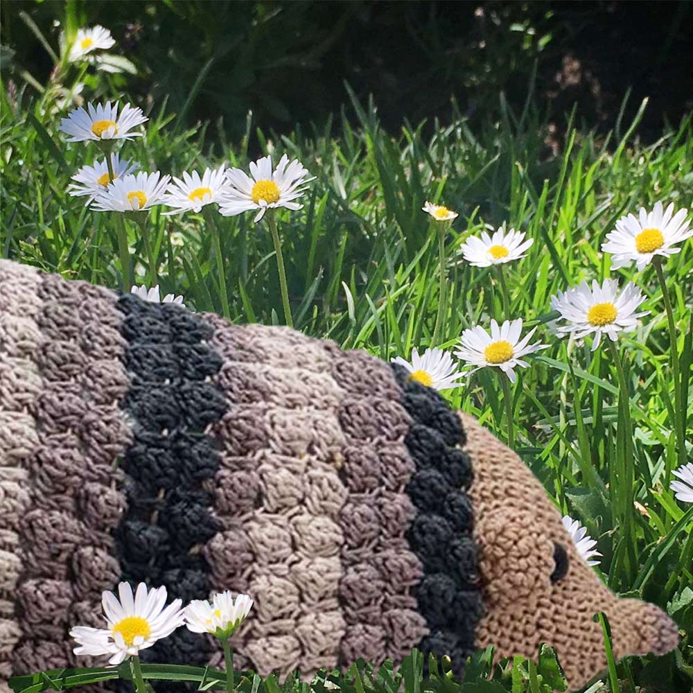 Video Martucho el Erizo