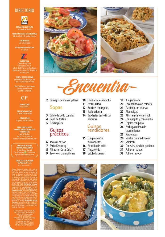 Delicias con Pollo Especial 32 - Guisos prÌÁcticos y muy rendidores - Formato Digital - ToukanMango
