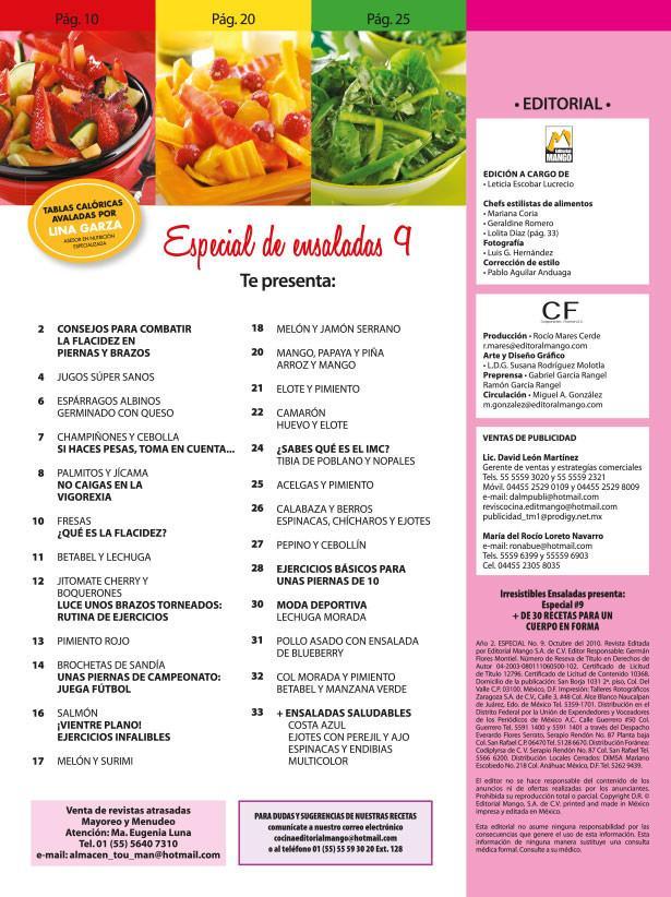 Irresistibles Ensaladas Especial 9 - MÌÁs de 30 recetas para un cuerpo en forma - Formato Digital - ToukanMango