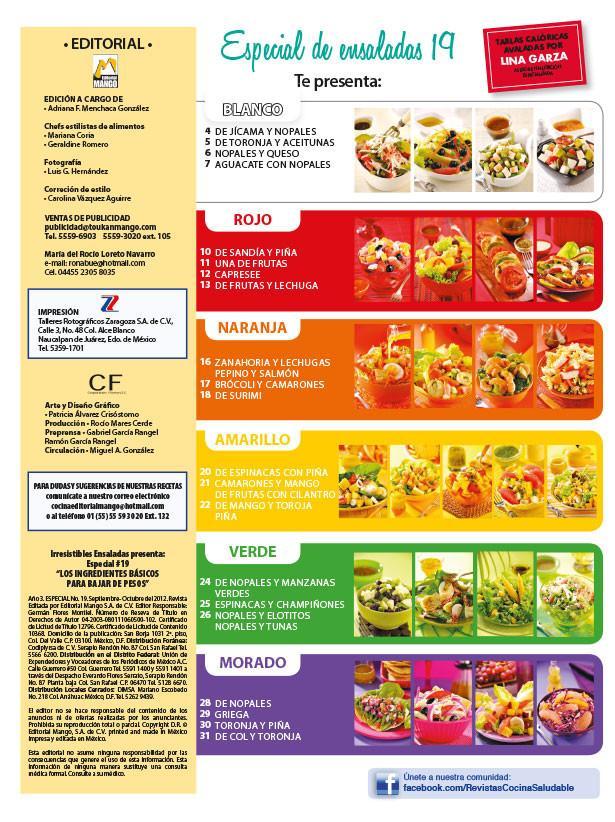 Irresistibles Ensaladas Especial 19 - 4 Ingredientes para bajar de peso - Formato Digital - ToukanMango