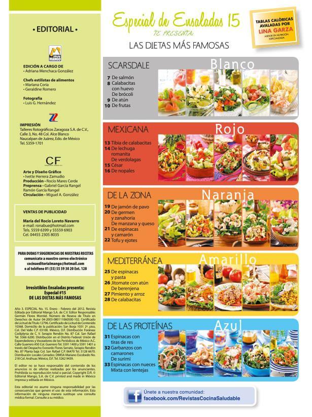 Irresistibles Ensaladas Especial 15 - Las dietas mÌÁs famosas - Formato Digital - ToukanMango