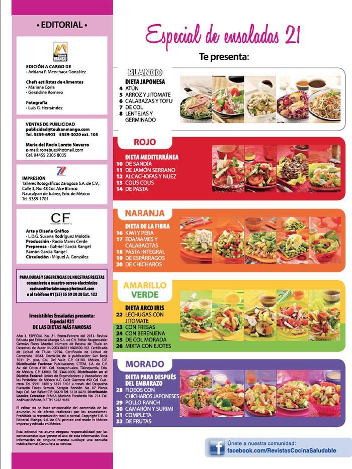 Irresistibles Ensaladas Especial 21 - Las dietas mÌÁs famosas - Formato Digital - ToukanMango