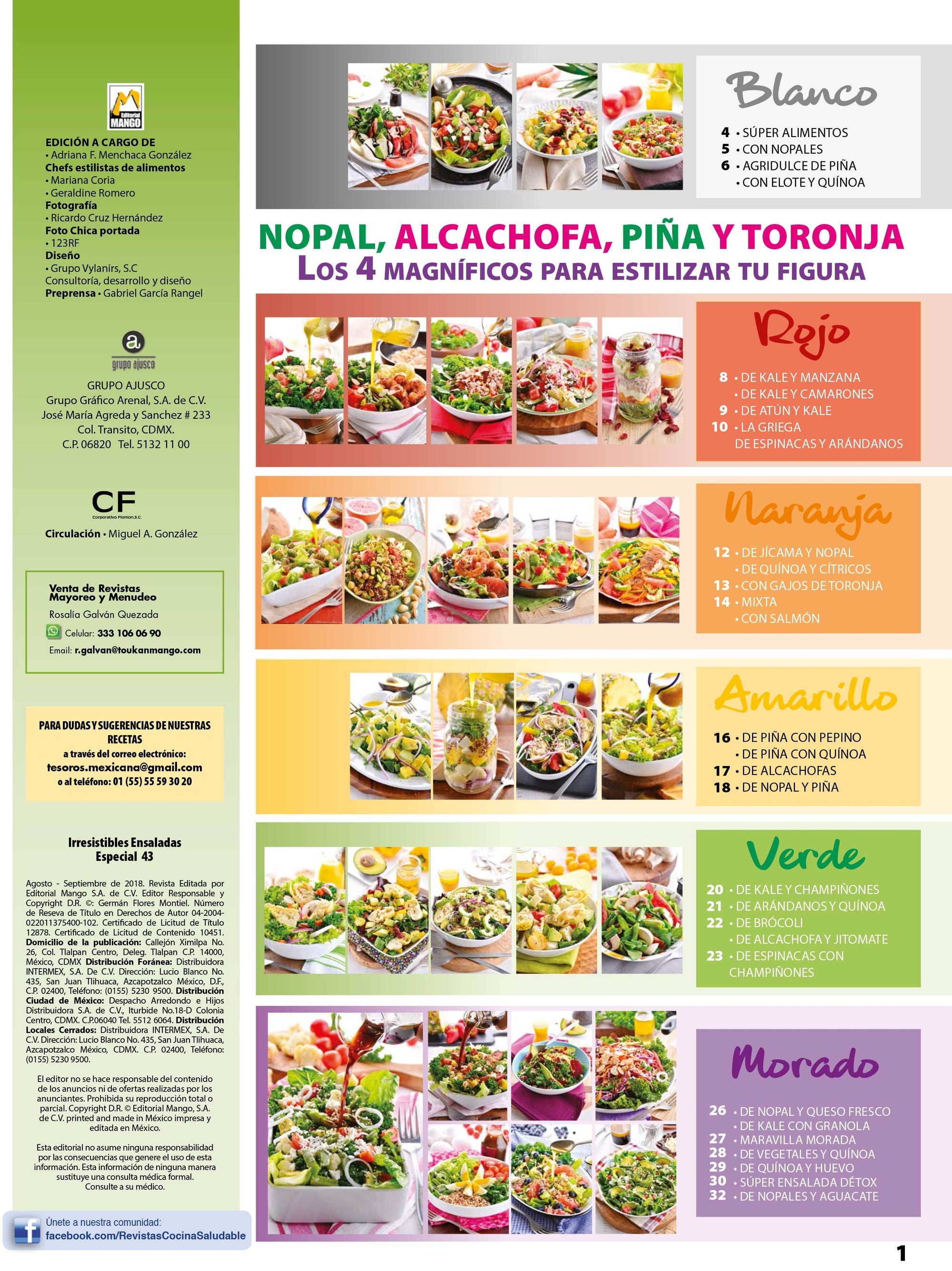 Irresistibles Ensaladas Especial 43 - Nopal, alcachofa, pi̱a y toronja los 4 magnÌ_ficos - Formato Digital - ToukanMango