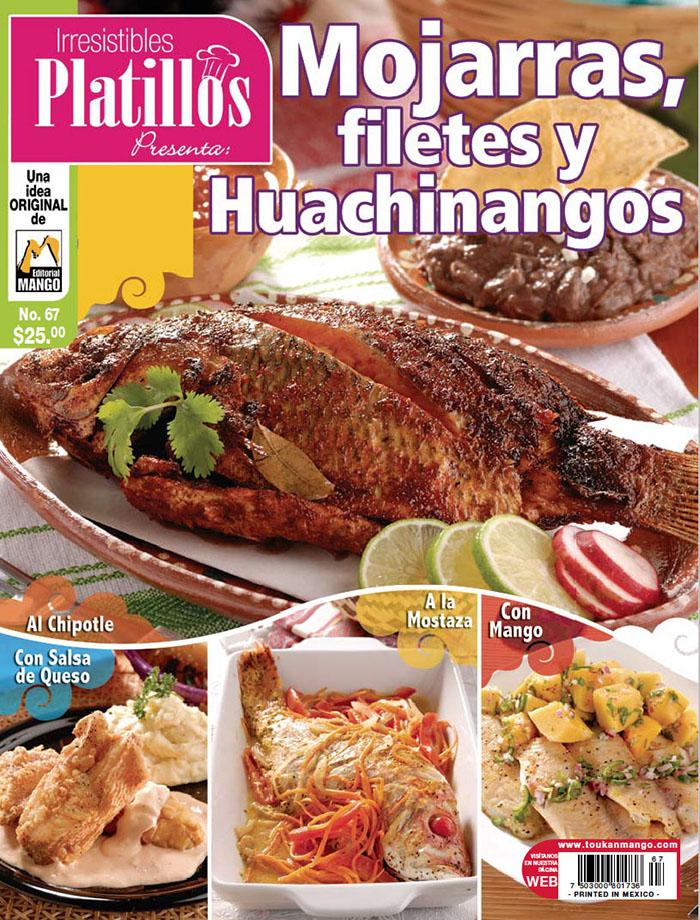 Irresistibles Platillos 67 - Mojarras, filetes y huachinangos - Revista Digital