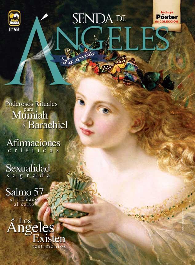 Senda de ́ngeles la Revista 14 - Los ́ngeles Existen testimonios - Formato Digital - ToukanMango