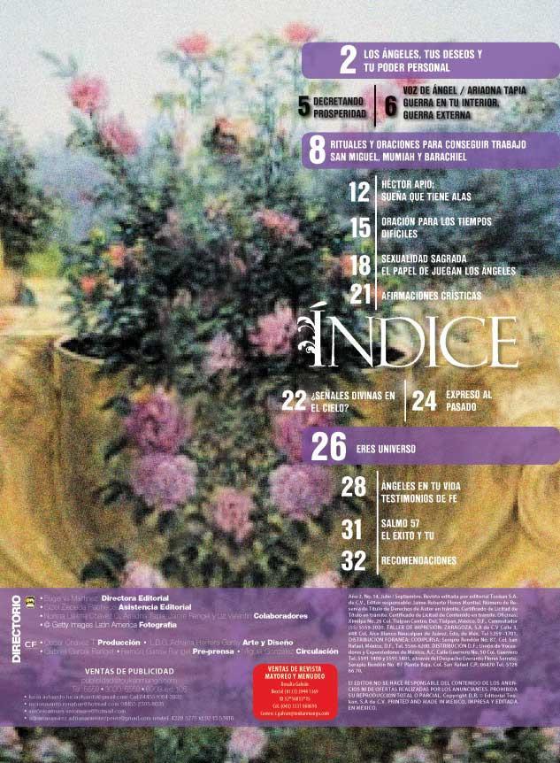 Senda de ́ngeles la Revista 14 - Los ́ngeles Existen testimonios - Formato Digital - ToukanMango