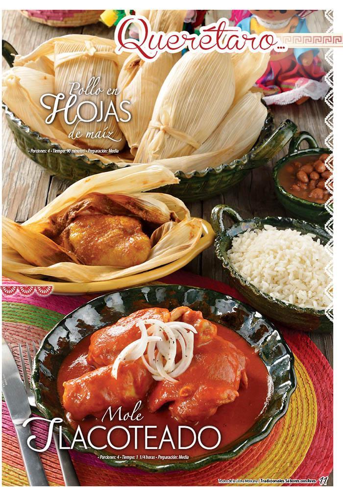 Tesoros de la Cocina Mexicana 9 - Tradicionales platillos con pollo, gallina, guajolote y pato - Formato Digital - ToukanMango