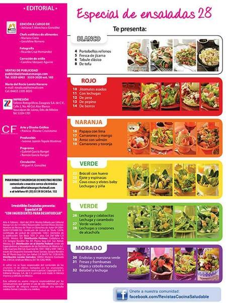 Irresistibles Ensaladas Especial 28 - Con ingredientes para desintoxicar - Formato Digital - ToukanMango