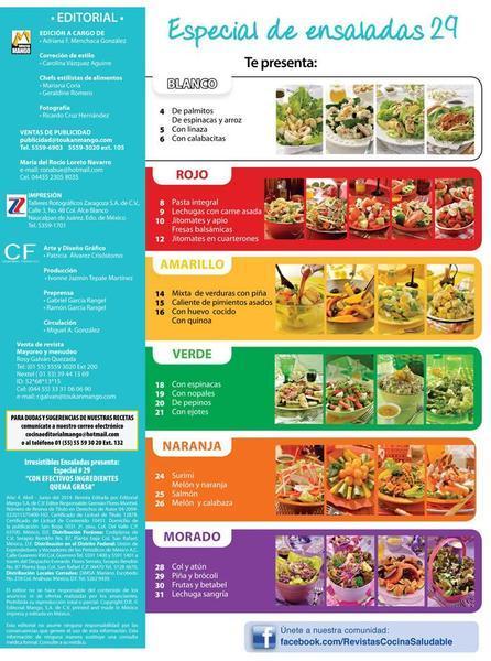 Irresistibles Ensaladas Especial 29 - Con efectivos ingredientes quema grasa - Formato Digital - ToukanMango