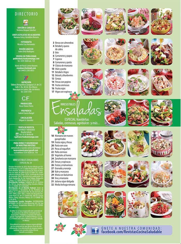 Irresistibles Ensaladas Especial 38 - Navide̱as saladas, cremosas, agridulces y mÌÁs - Formato Digital - ToukanMango
