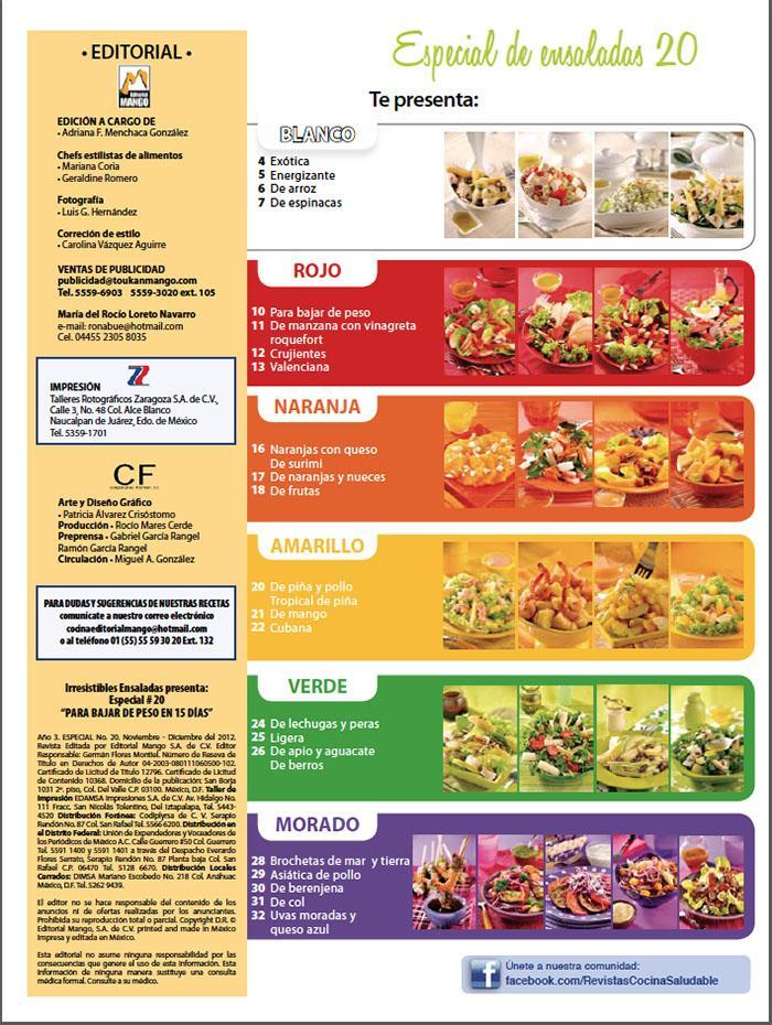 Irresistibles Ensaladas Especial 20 - Para bajar de peso en 15 dÌ_as- Formato Digital - ToukanMango