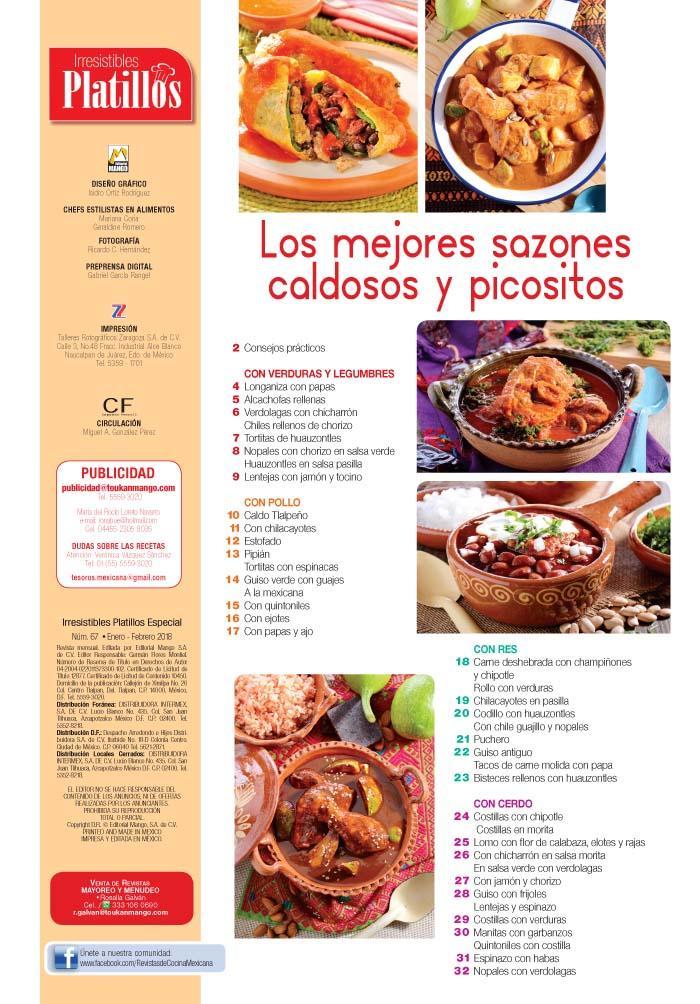 Irresistibles Platillos Especial 67 - Los mejores sazones caldosos y picositos - Formato Digital - ToukanMango