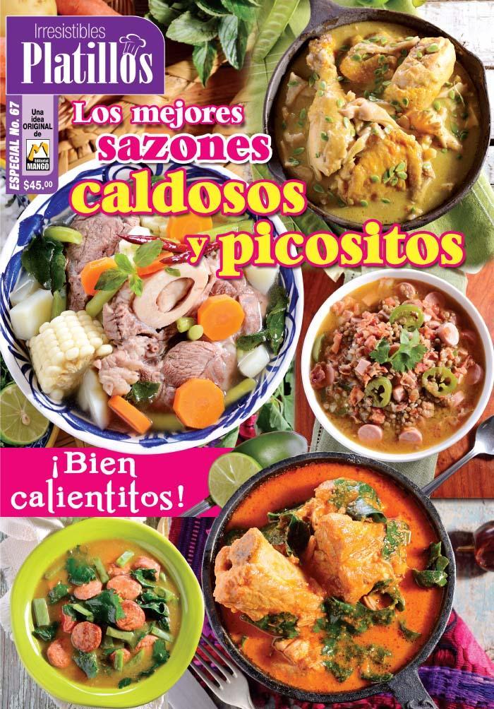 Irresistibles Platillos Especial 67 - Los mejores sazones caldosos y picositos - Formato Digital - ToukanMango