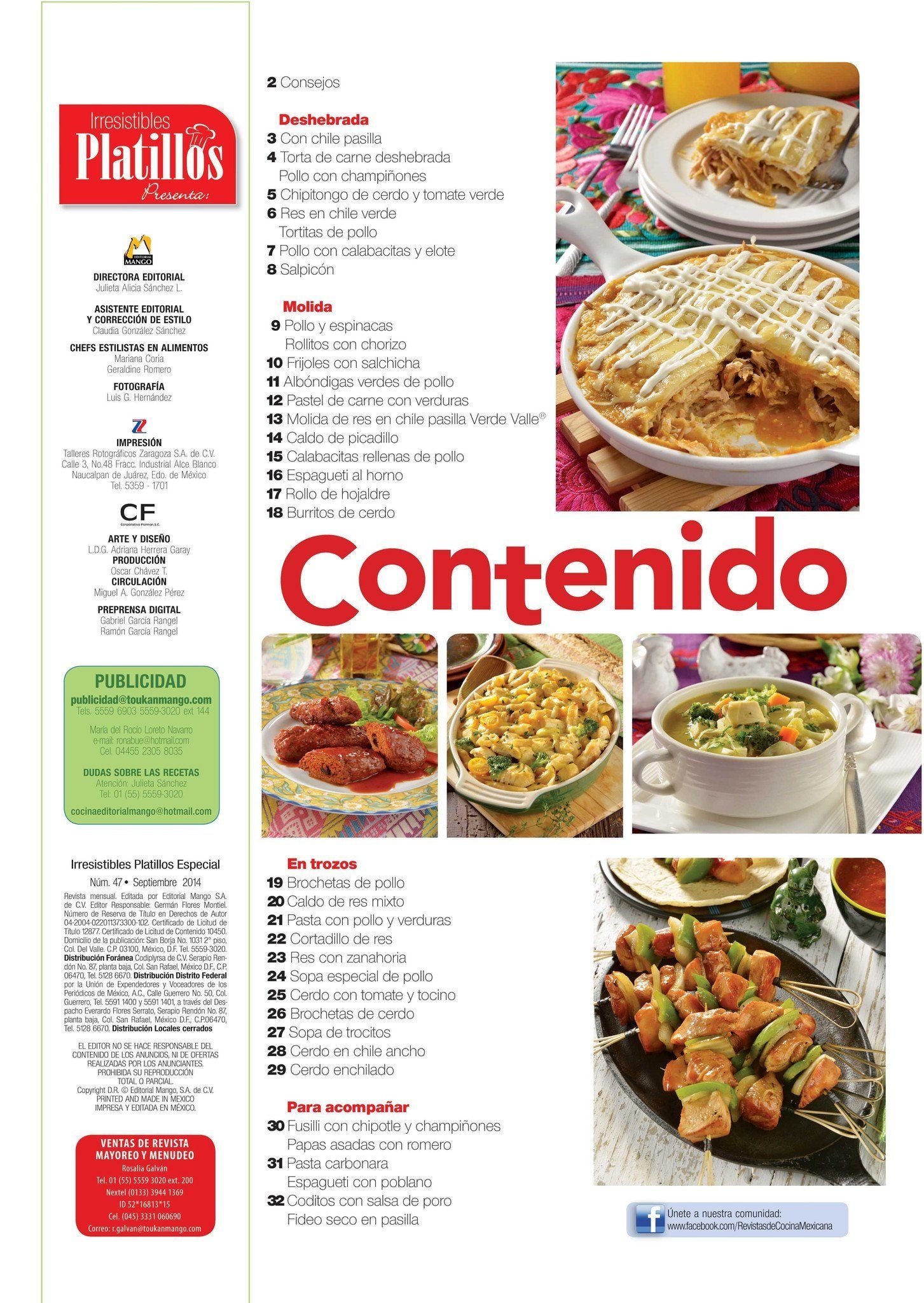 Irresistibles Platillos Especial 47 - Con Molida, deshebrada y en trozos - Formato Digital - ToukanMango