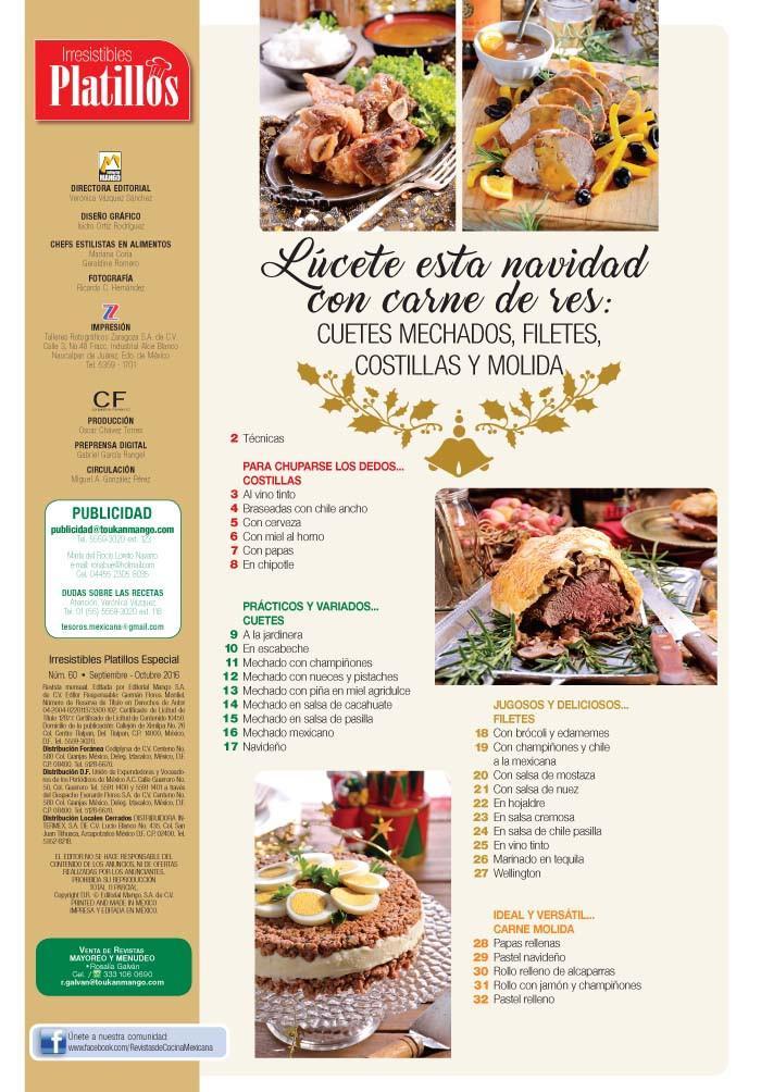 Irresistibles Platillos Especial 60 - Navidad con carne de res - Formato Digital - ToukanMango