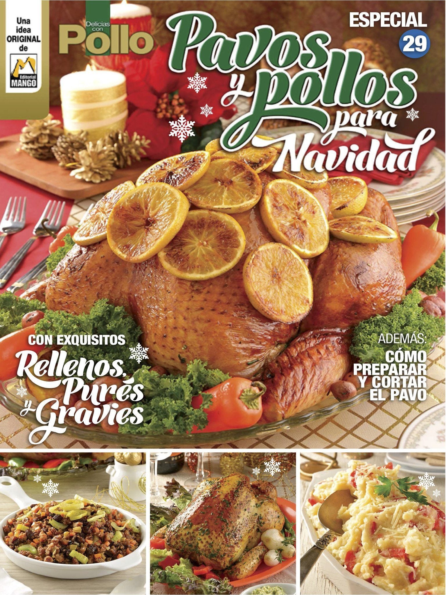 Delicias con Pollo Especial 29 - Pavos y pollos para Navidad - Formato Digital - ToukanMango