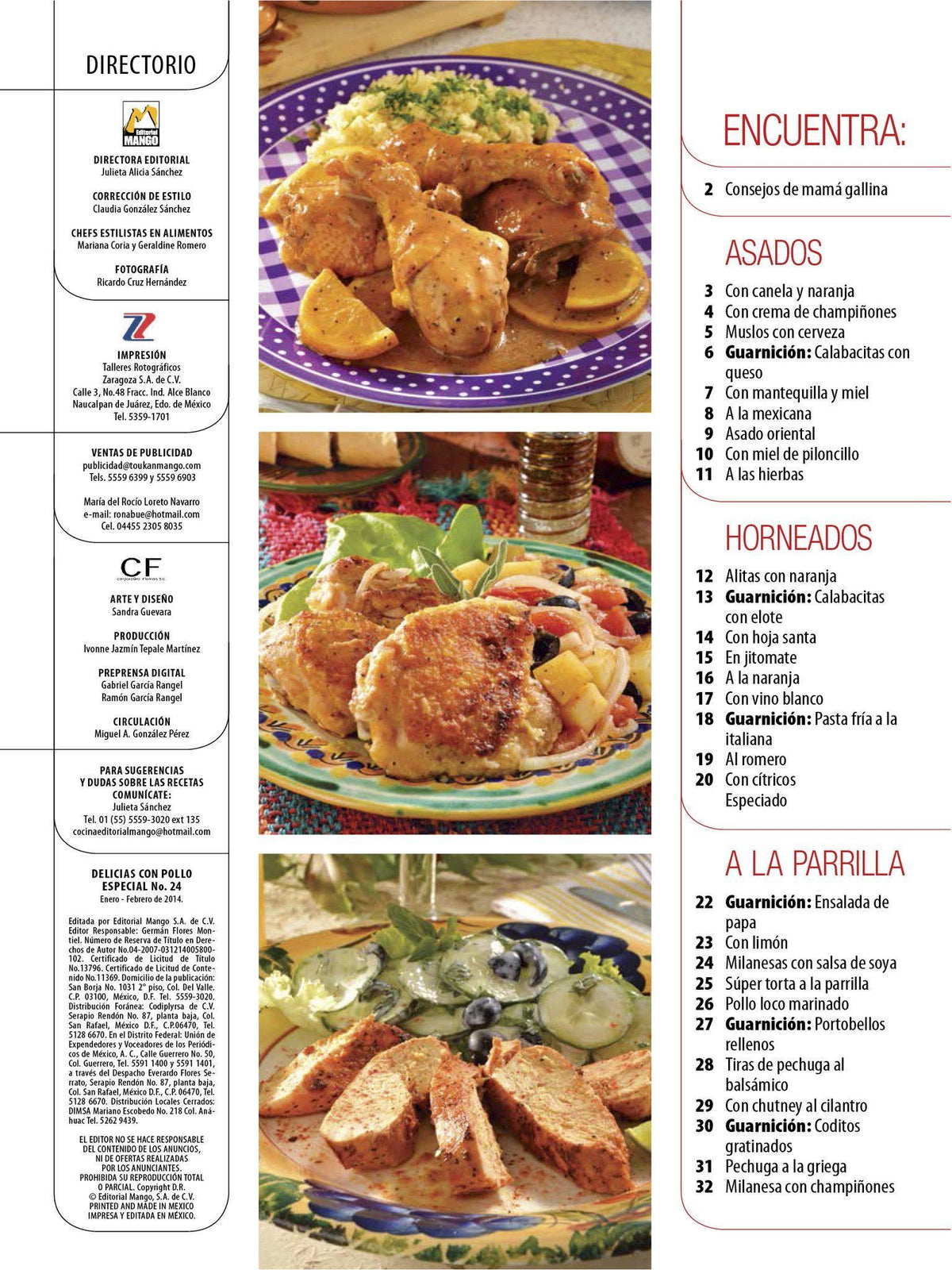 Delicias con Pollo Especial 24 - Asado al horno y a la parrilla - Formato Digital - ToukanMango