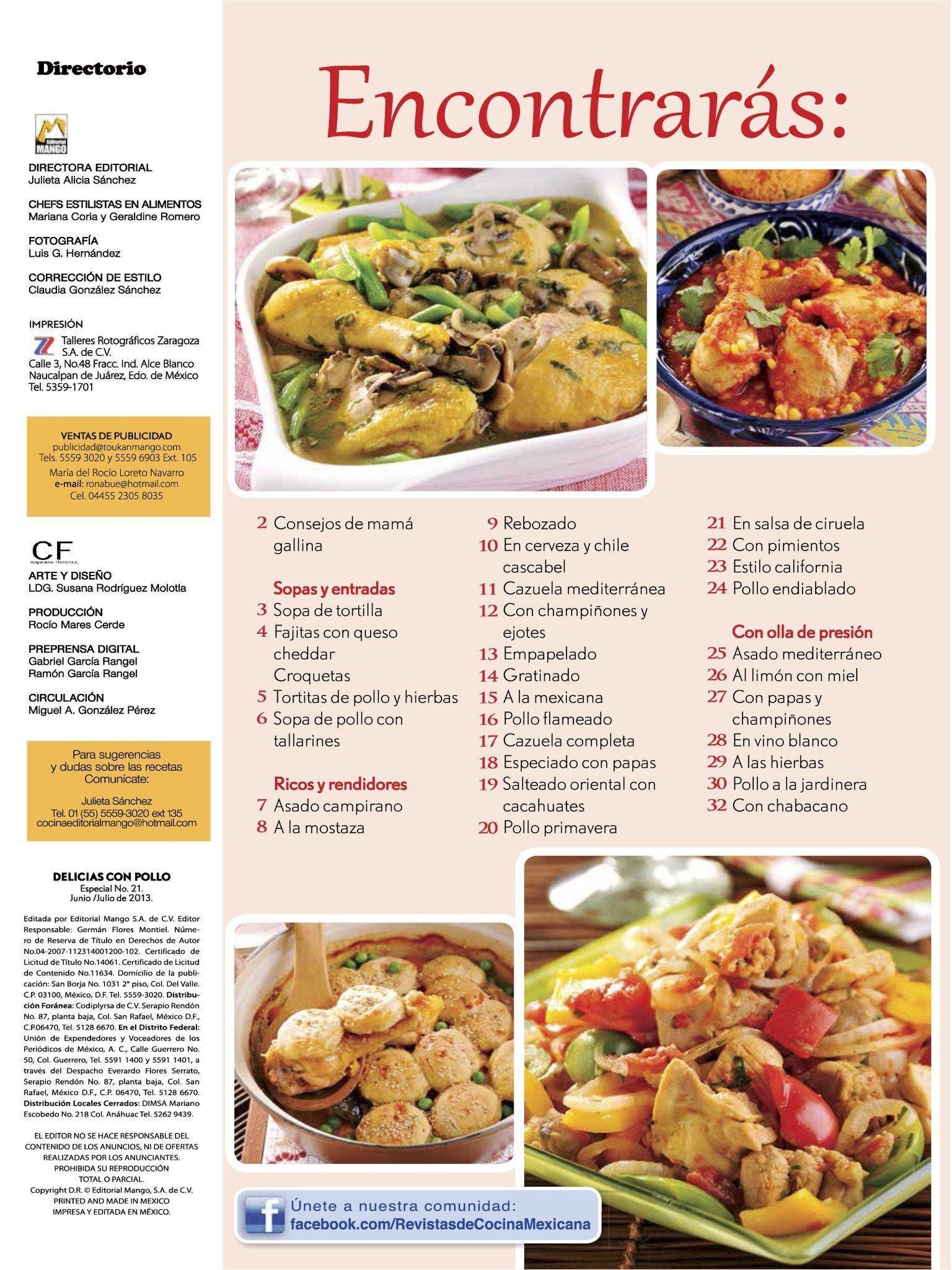 Delicias con Pollo Especial 21 - 30 Guisos rapidos - Formato Digital - ToukanMango