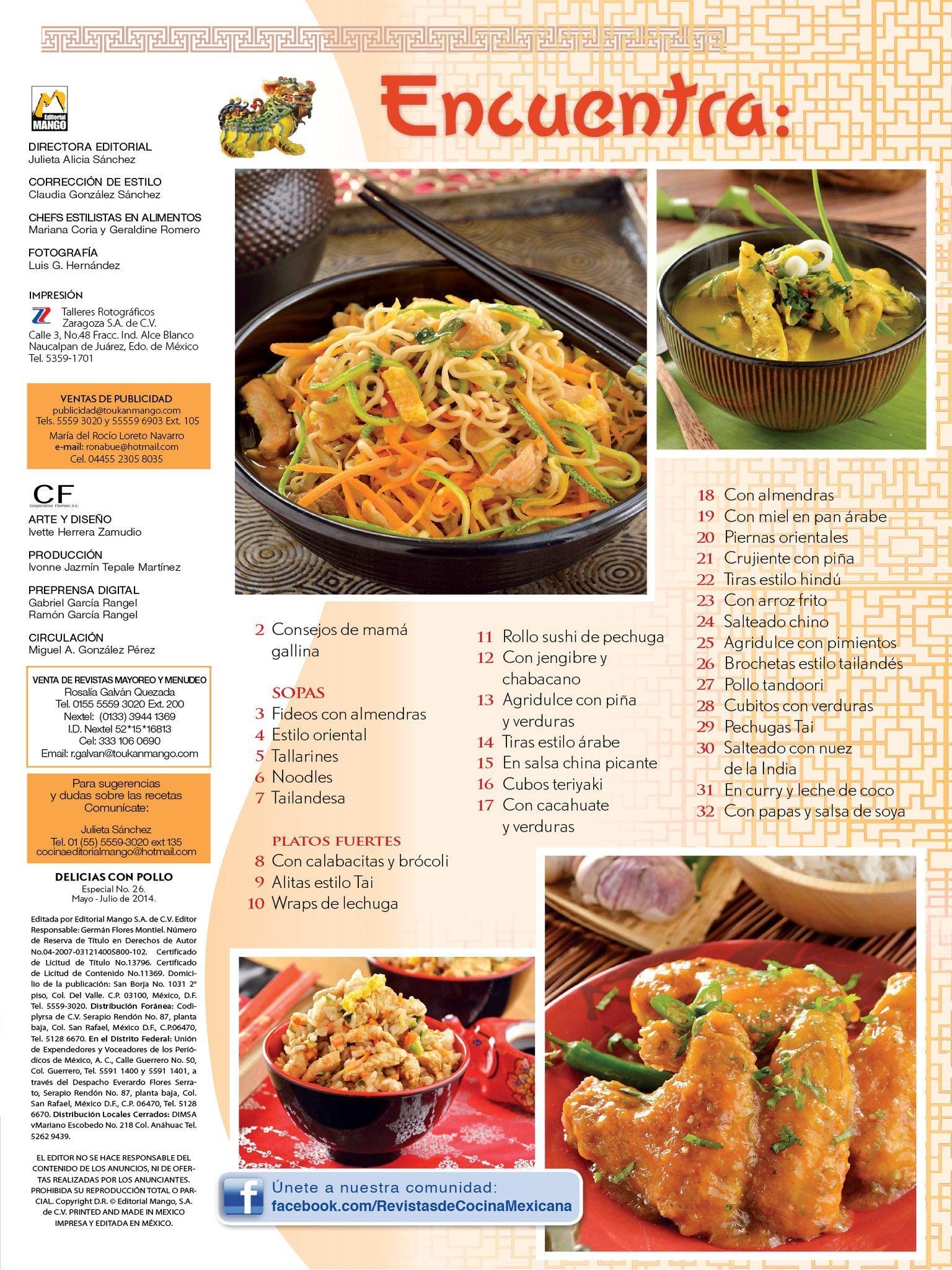 Delicias con Pollo Especial 26 - Estilo Oriental - Formato Digital - ToukanMango