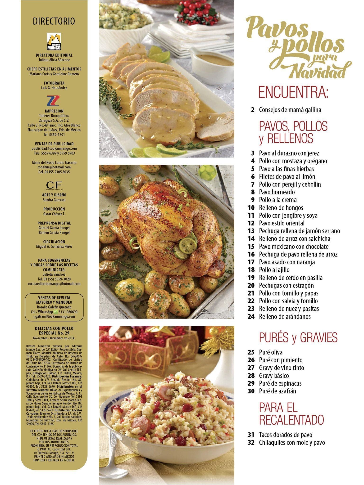 Delicias con Pollo Especial 29 - Pavos y pollos para Navidad - Formato Digital - ToukanMango