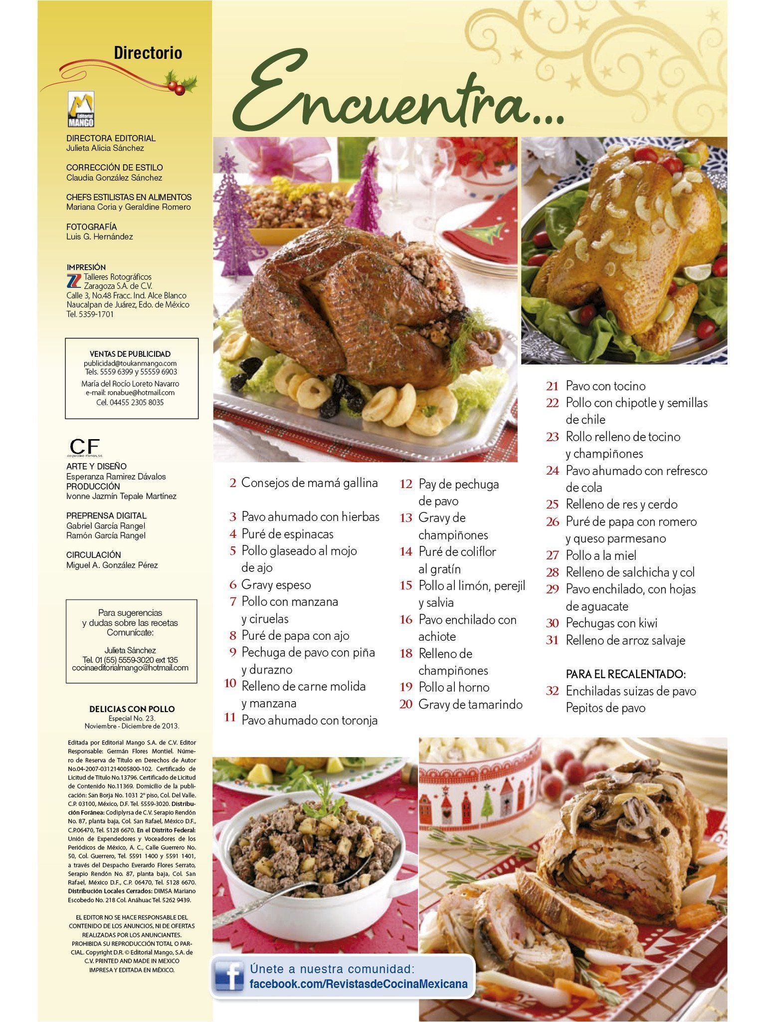 Delicias con Pollo Especial 23 - Pavos y pollo para Navidad - Formato Digital - ToukanMango