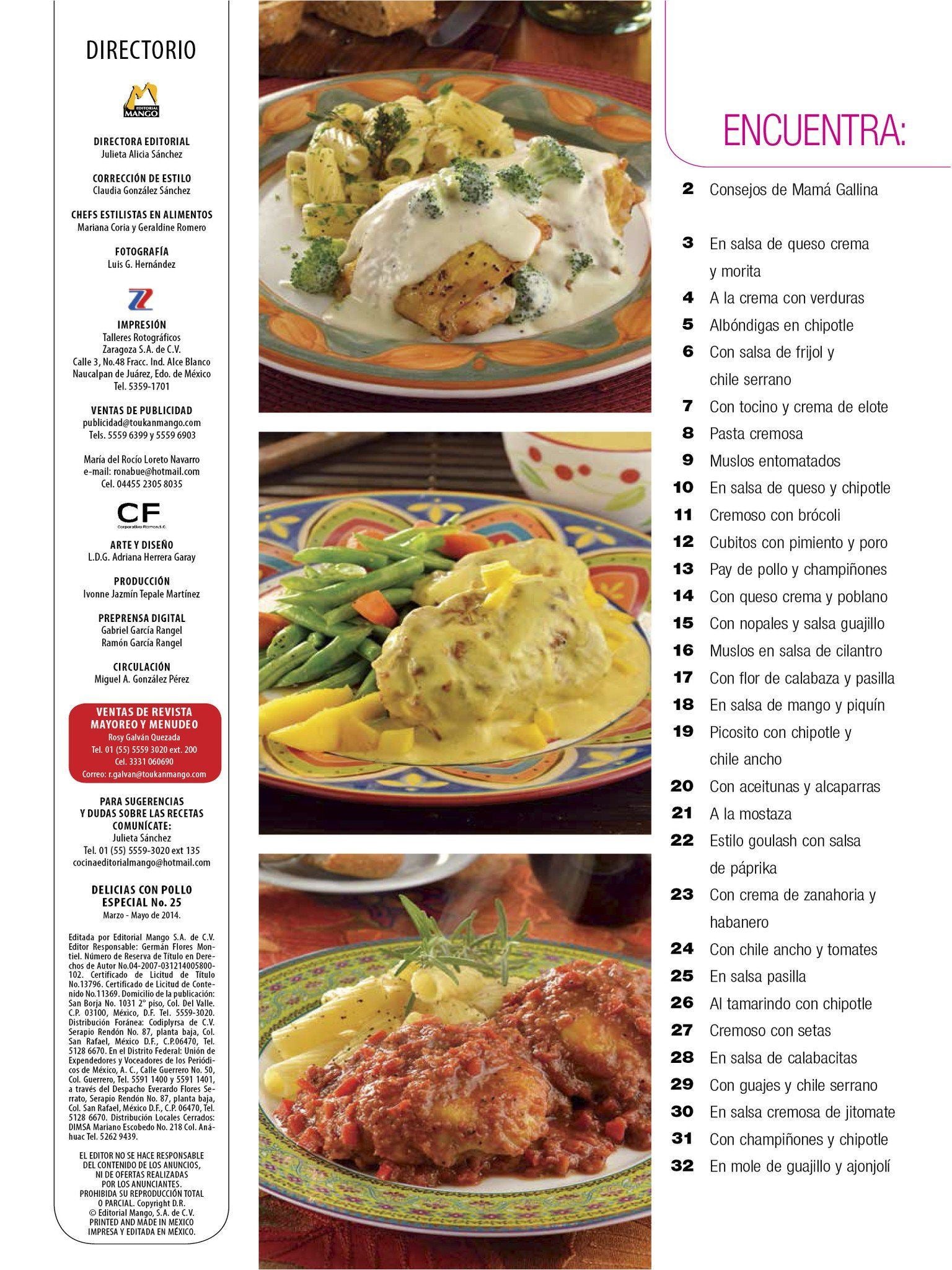 Delicias con Pollo Especial 25 - 30 Guisos cremosos, picositos y bien sazonados - Formato Digital - ToukanMango