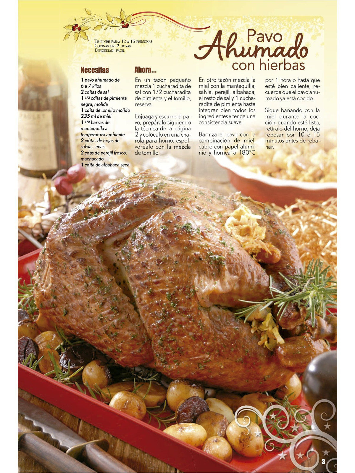 Delicias con Pollo Especial 23 - Pavos y pollo para Navidad - Formato Digital - ToukanMango